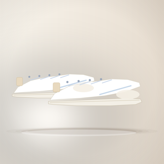 کفش